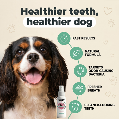 FangFresh™ Brushless Dental Spray