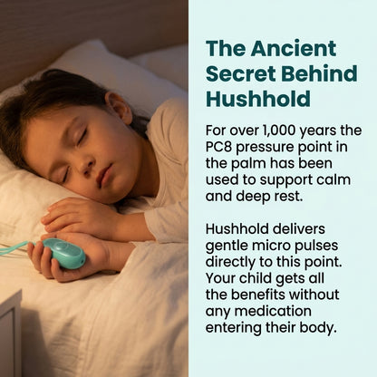 Hushhold™ The Quiet Reset